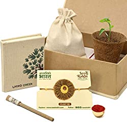 Natural Plantable Rakhi Set with Seed Paper Organic Diary